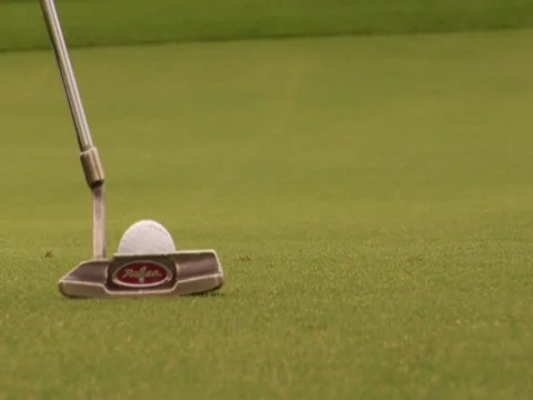 Golf Course 3 Stock Footage 8698270