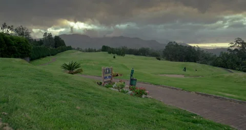 Golf course. Aerial view Stock Footage 85849156