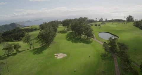 Golf course. Aerial view Stock Footage 85849687