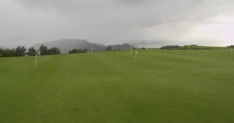 Golf course. Aerial view Video stock 85849733