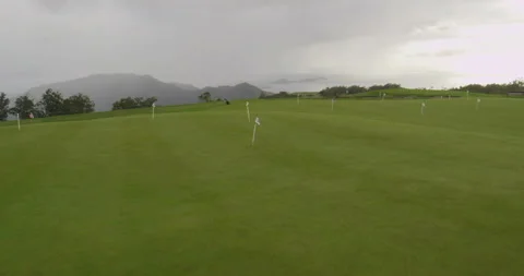 Golf course. Aerial view Stock Footage 85849737