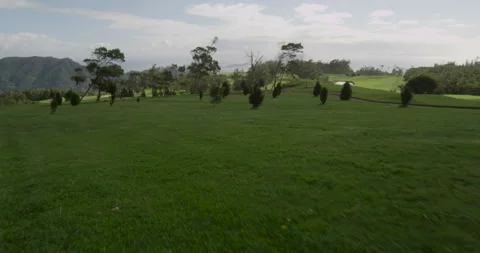 Golf course. Aerial view Stock Footage 85849747