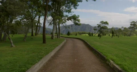 Golf course. Aerial view Vídeos de archivo 85850508