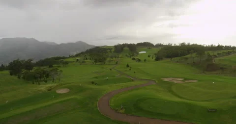 Golf course. Aerial view Stock Footage 85850537