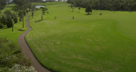 Golf course. Aerial view Stock Footage 85850906