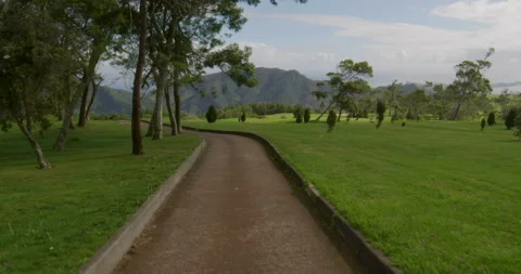 Golf course. Aerial view Stock Footage 85850956