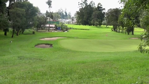 Golf course with alpine trees in Nuwara eliya Stock Footage 256587618