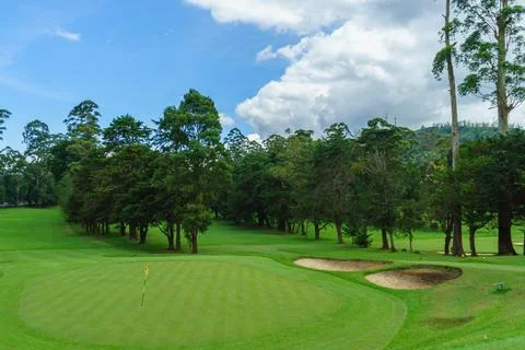 Golf course with alpine trees in Nuwara eliya Stock Photos