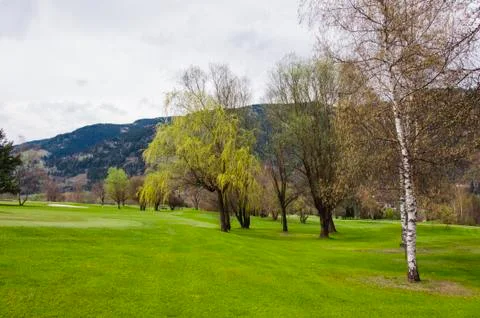 Golf course in Alps Stock Photos