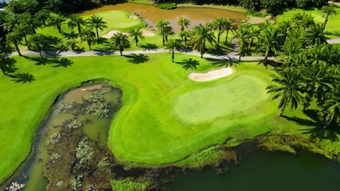 Golf course among palm trees. Drone video Video stock 272460333