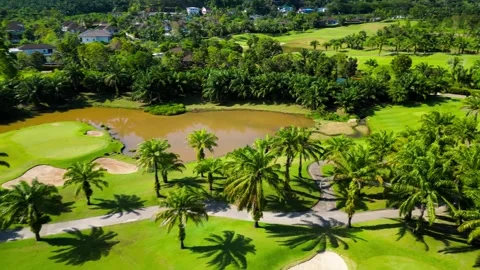 Golf course among palm trees. Drone video Video stock 272460379