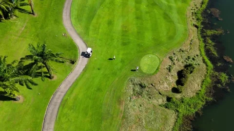 Golf course among palm trees. Drone video Video stock 272460391