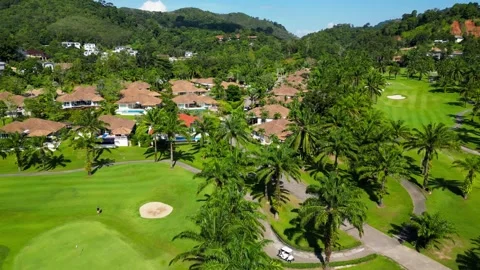 Golf course among palm trees. Drone video Video stock 272460400