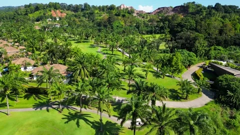 Golf course among palm trees. Drone video Video stock 272460425