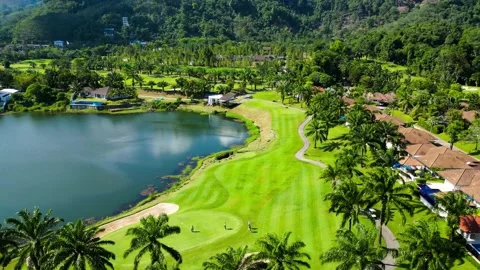 Golf course among palm trees. Drone video Video stock 272460433