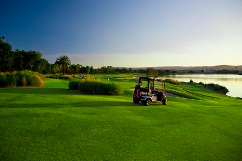 Golf course and buggies Stock Photos