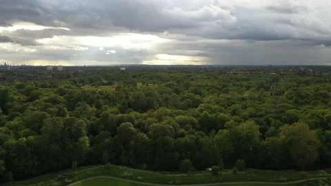 Golf course and deciduous park or forest Stock-Footage 155817960