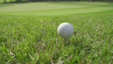 Golf course and golf ball on a green grass field close up Stock Footage 228514390