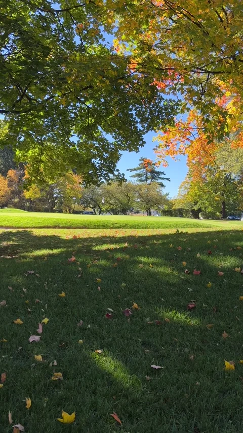 Golf Course in Autumn Stock Footage 254109007