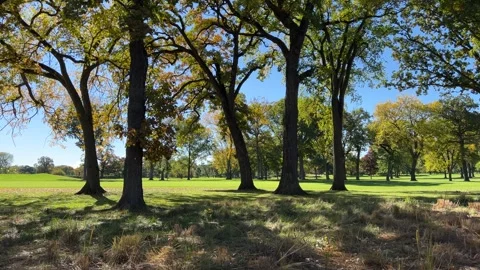 Golf Course in Autumn Stock Footage 254109016