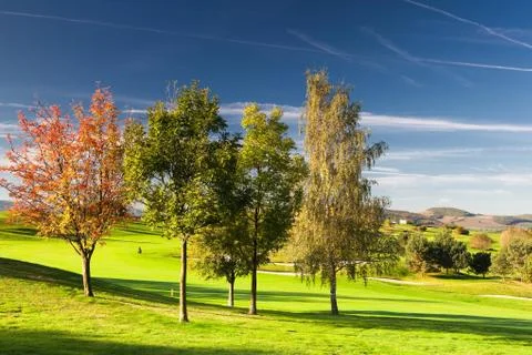 On the golf course in autumn  스톡 사진