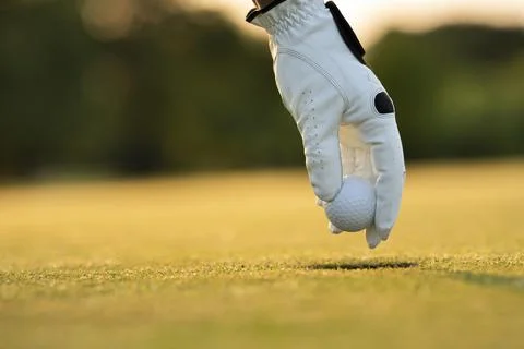 Golf course with ball and grass on close up of a hand Stock Photos