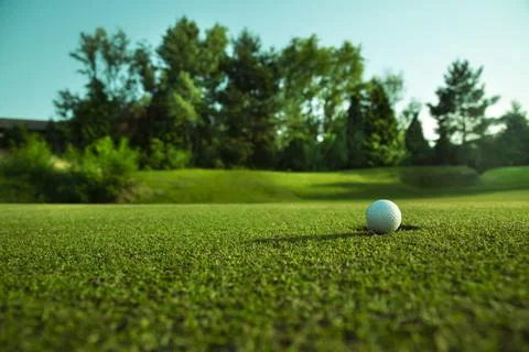 Golf course with ball and grass Stock Photos