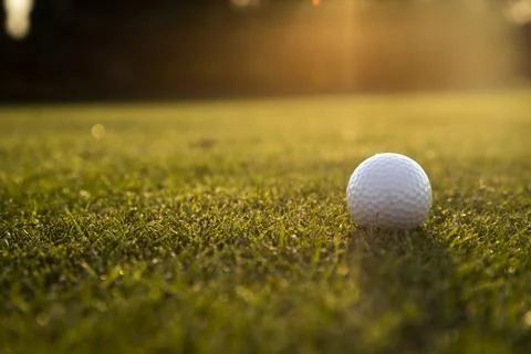 Golf course with ball and grass Stock Photos