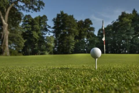 .Golf course with ball and grass Stock Photos