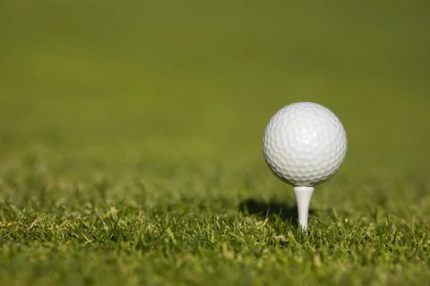 .Golf course with ball and grass Stock Photos