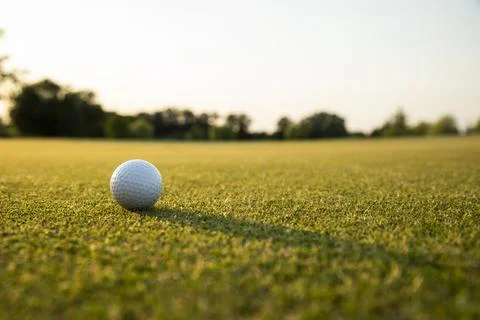 Golf course with ball and grass Stock Photos