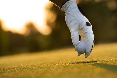 Golf course with ball and grass on close up of a hand Stock Photos