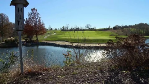 Golf course birdhouse timelapse Video stock 81605983