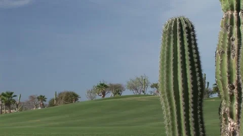 Golf course with Cactus In FG Stock Footage 1009020