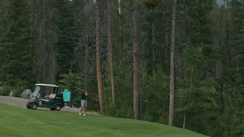 Golf course chip shot Video stock 145204281