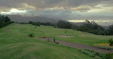 Golf course on a cloudy day. Aerial view Video stock 85848861