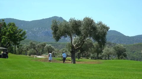 Golf course, Cyprus, olive trees Stock Footage 113213054
