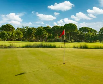 Golf course during summer Stock Photos