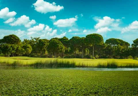 Golf course during summer Stock Photos