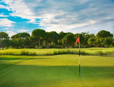 Golf course during summer Stock Photos