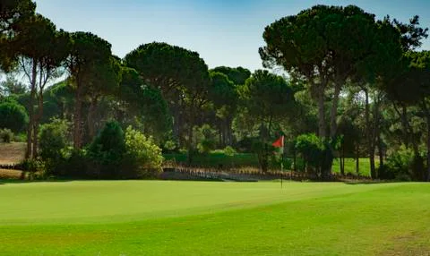 Golf course during summer Stock Photos