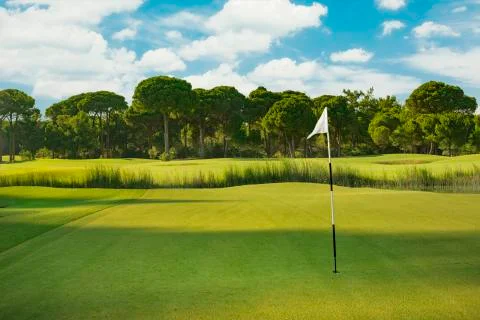 Golf course during summer Stock Photos