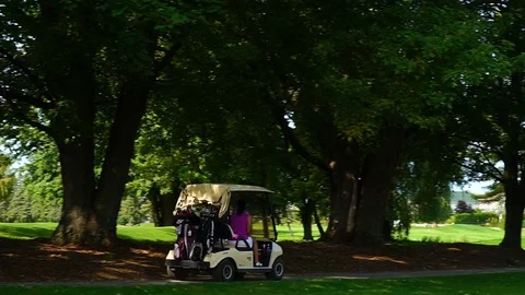 Golf Course During Sunny Day Stock Footage 80390541