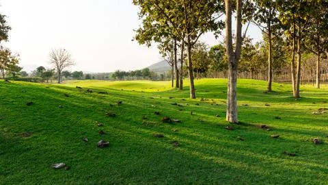 Golf course in the evening Stock Photos