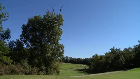 Golf course fairway Stock Footage 81605994