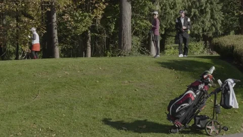 Golf course. Few players getting ready to hit ball. Stockbeeldmateriaal 142596067