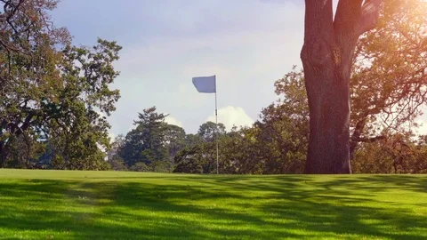 Golf Course Field Flag and Green Grass Landscape, Beautiful Game Holiday Country Stock Footage 109588367