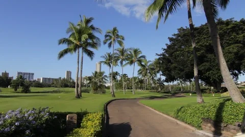 The Golf Course Stock Footage 105233471