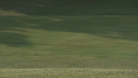 Golf Course Stock Footage 123922127