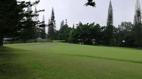 Golf Course Stock Footage 131947903